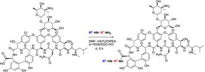 Iterative Chemical Engineering of Vancomycin Leads to Novel Vancomycin Analogs With a High in Vitro Therapeutic Index